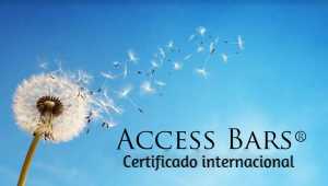 Barras de Access